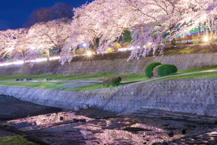 4255ecad936e4cd1e7822b7cd9d7c05e-920x613